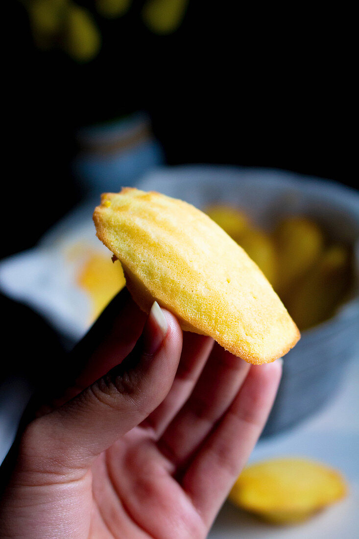 Hand hält ein Madeleine