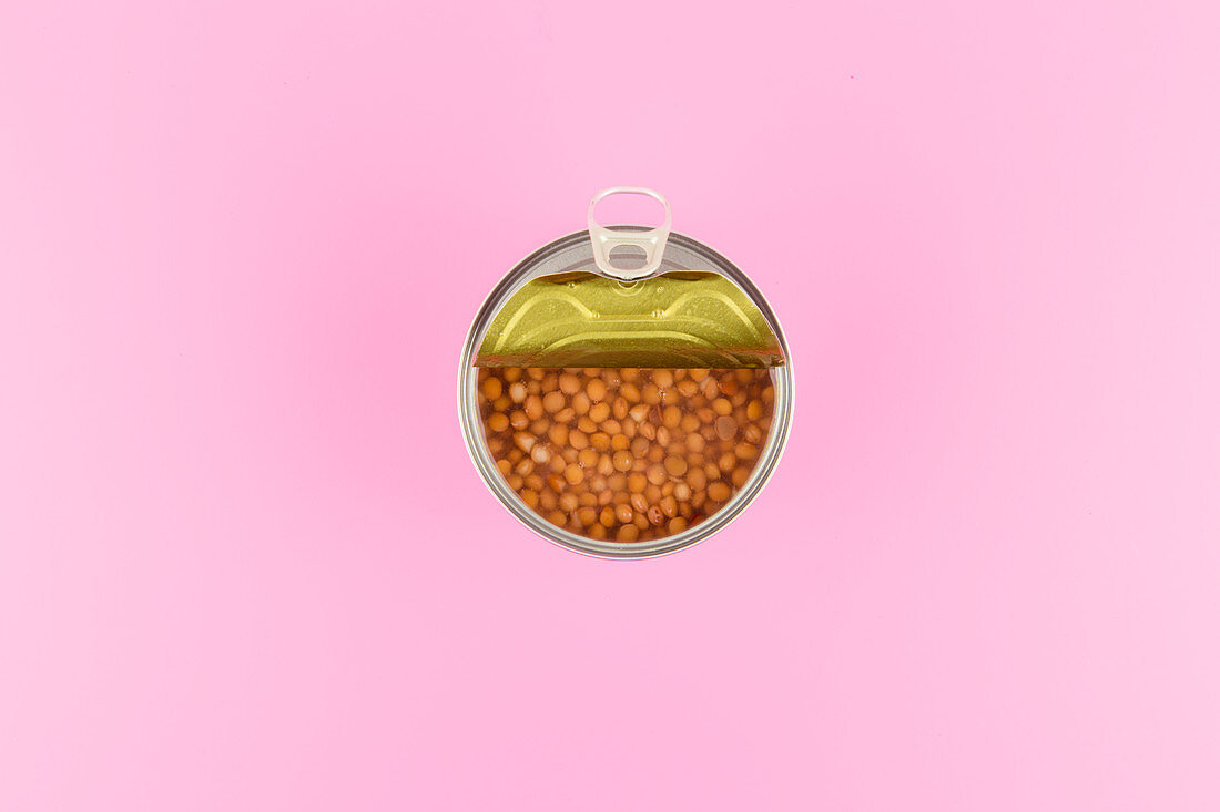 A tin of lentils