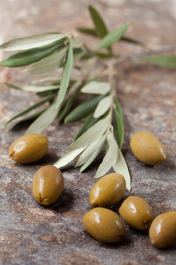 Grüne Oliven und Olivenzweige