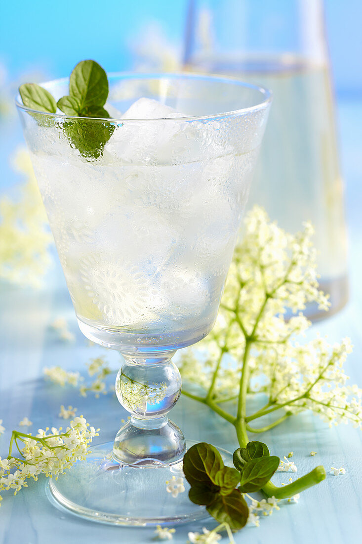 Homemade elderflower liqueur with fresh flowers