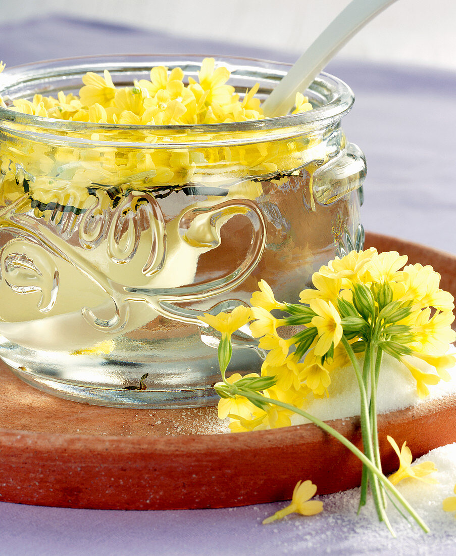 Selbstgemachter Likör mit frischen Schlüsselblumen