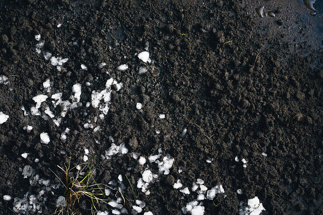 Eiswürfel auf Erde (Symbolbild für Winter)