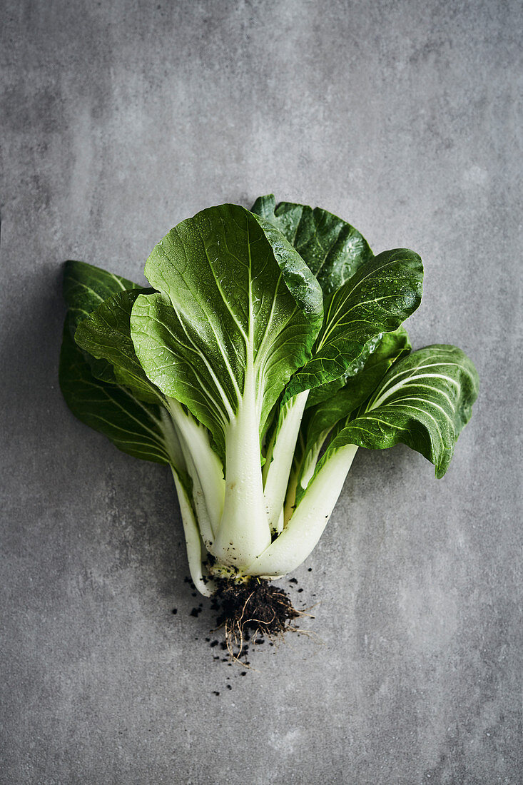 Freshly harvested bok choy