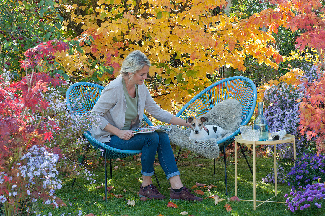 Modern armchairs in front of ironwood tree in autumn colours, woman and dog Zula