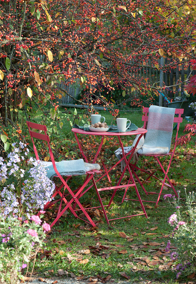 Small seating area next to ornamental apple tree and autumn aster