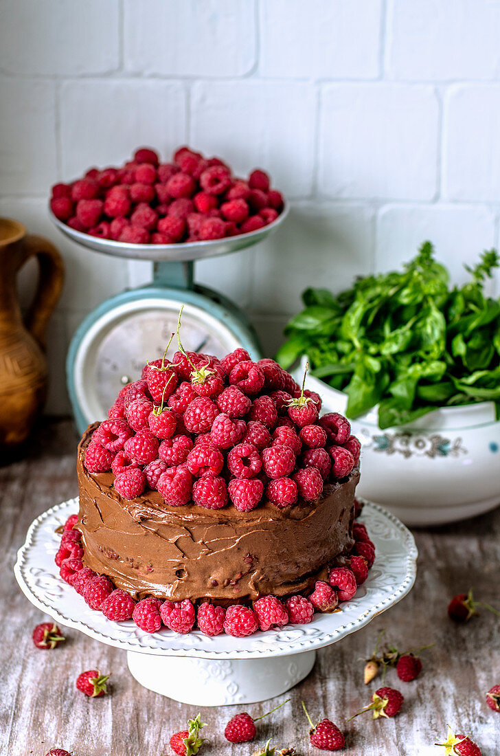 Chocolate cake with fresh raspberries