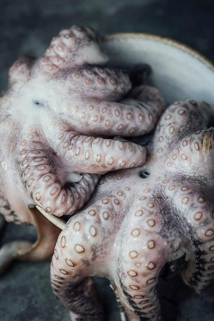 Fresh octopus in a bowl
