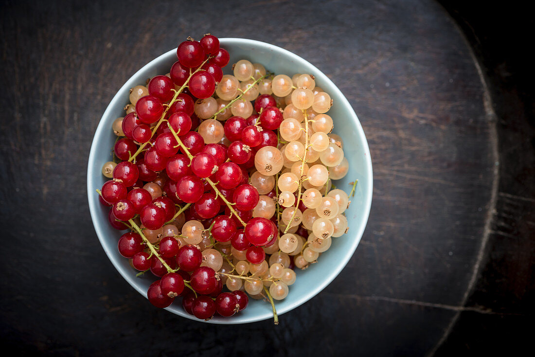 Red and White Currants in a Bowl