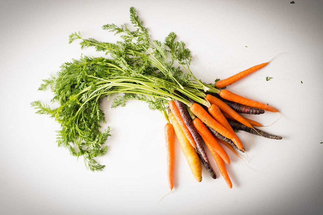 A bunch of carrots and purple carrots with green tops