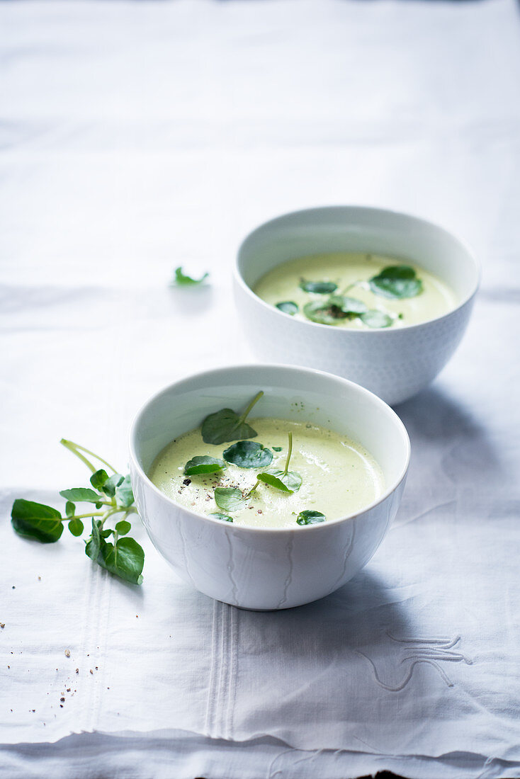 Cream of water cress soup