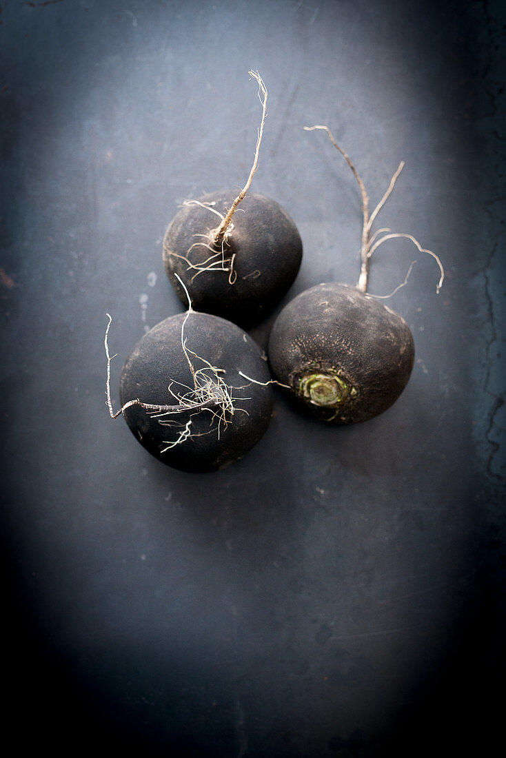 Black radish