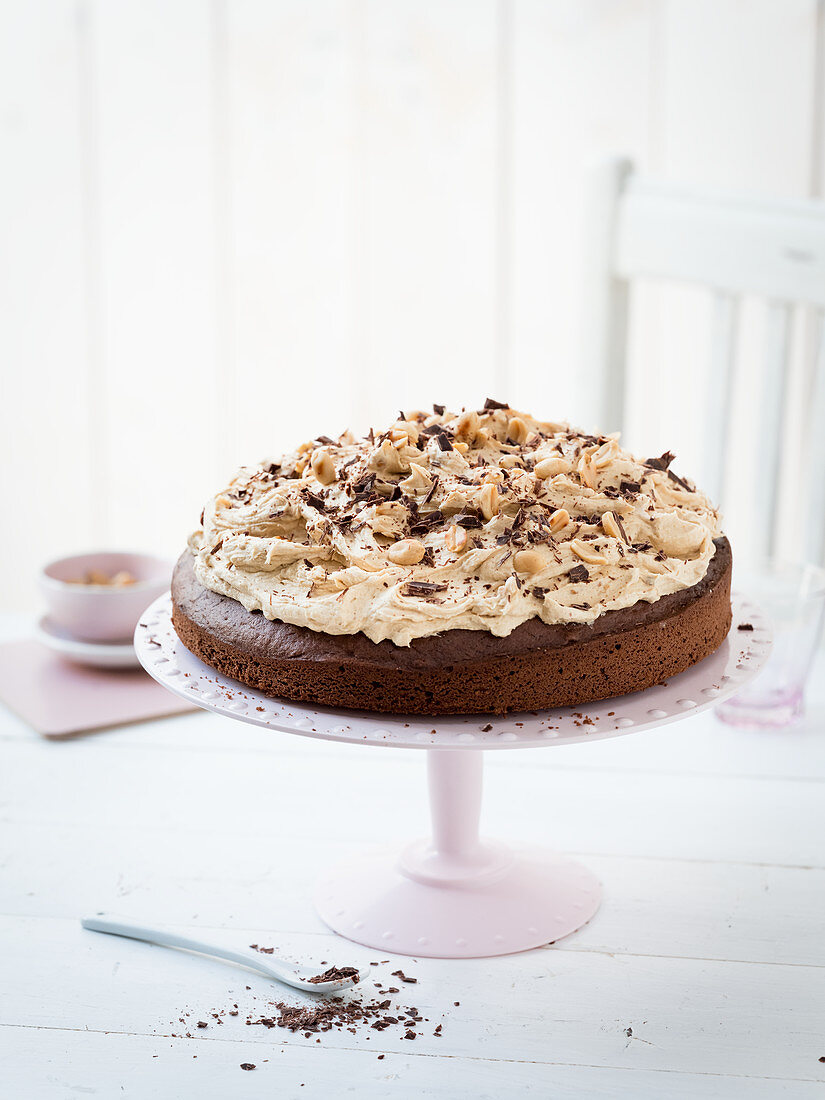 Chocolate cake with peanut cream