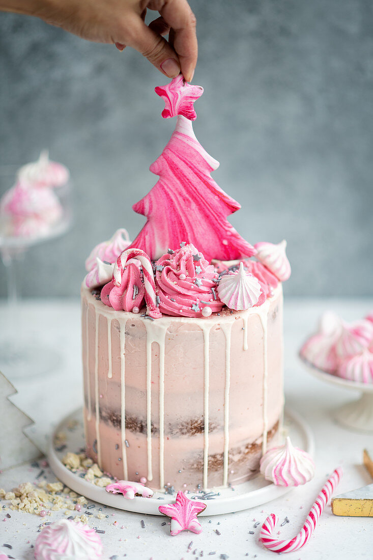 Rosafarbene Torte 'Winter Wonderland' verziert mit Baiser und Plätzchen