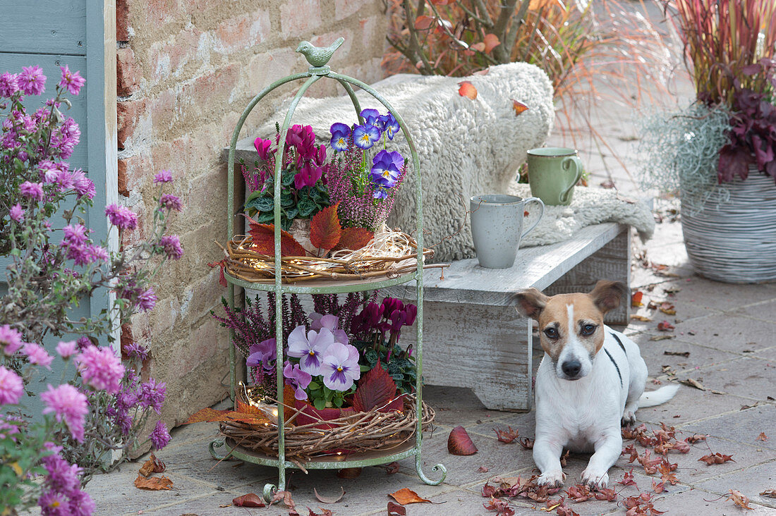 Terrace with autumnal decorated cake stand