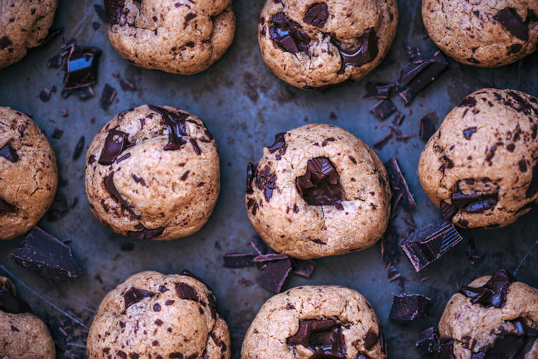 Baked chocolate chip cookies on a baking tray