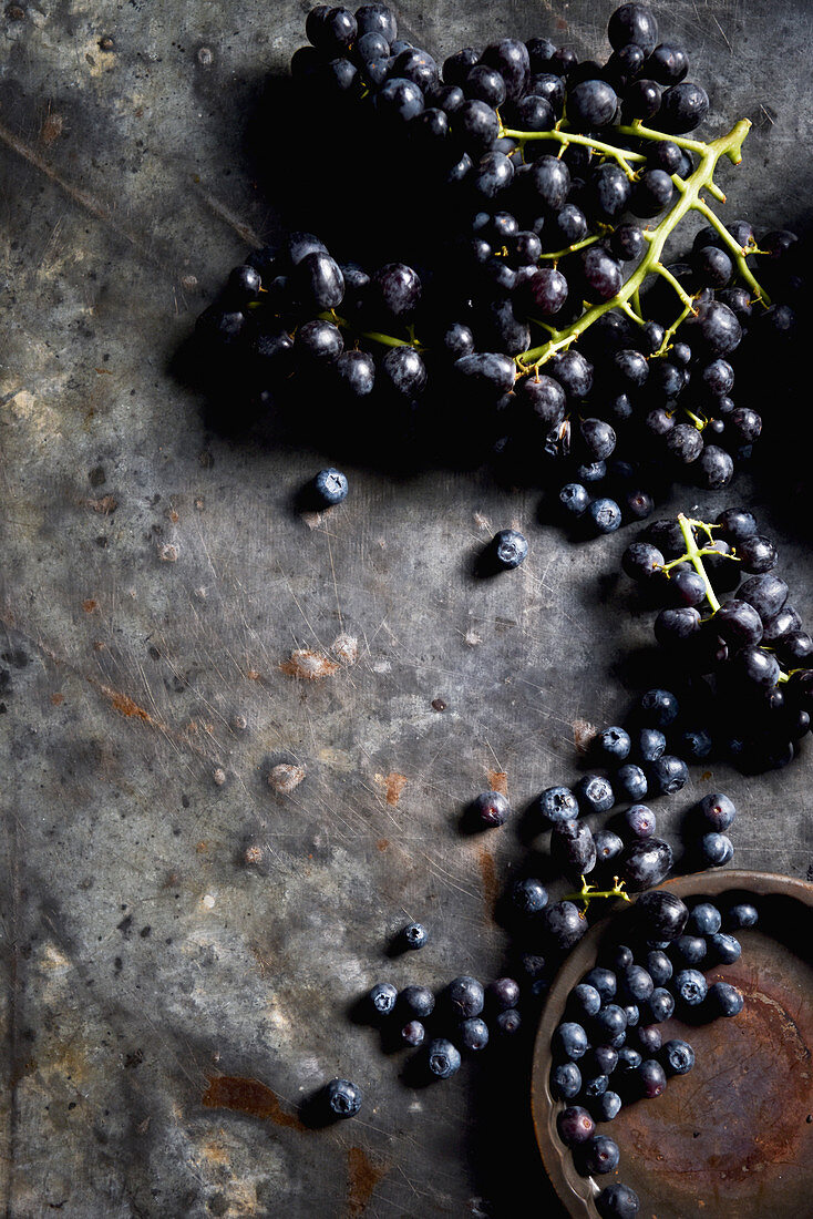Frische blaue Trauben und Heidelbeeren auf dunklem Metalluntergrund