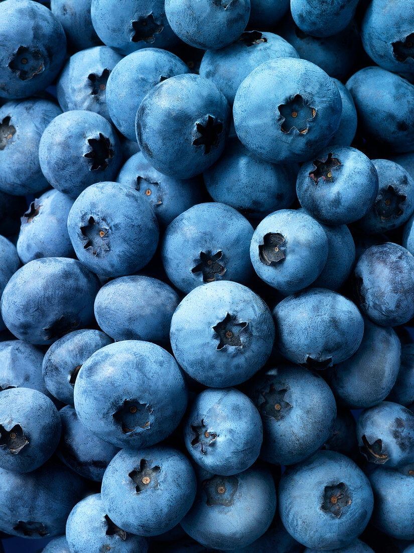 Blueberries (edge to edge)