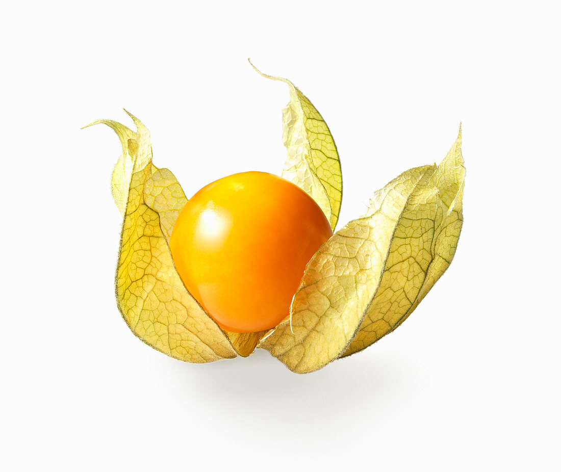 A physalis