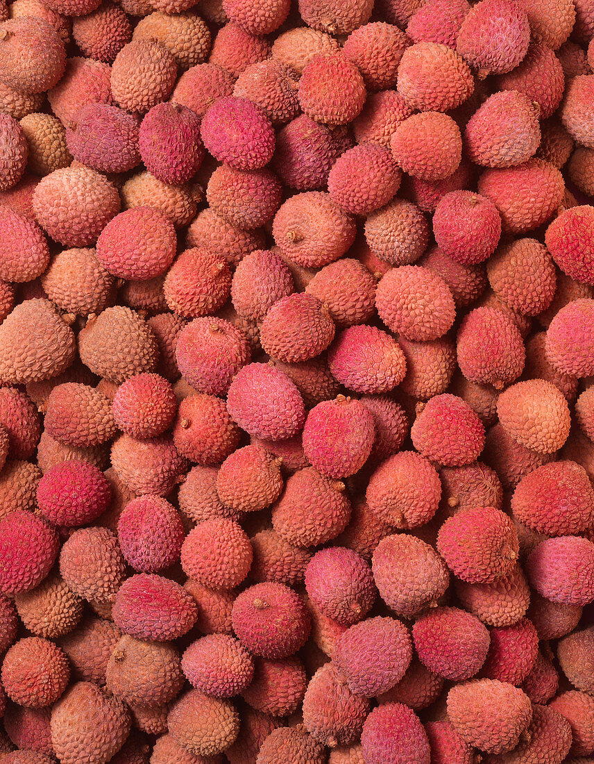 Lychees bildfüllend