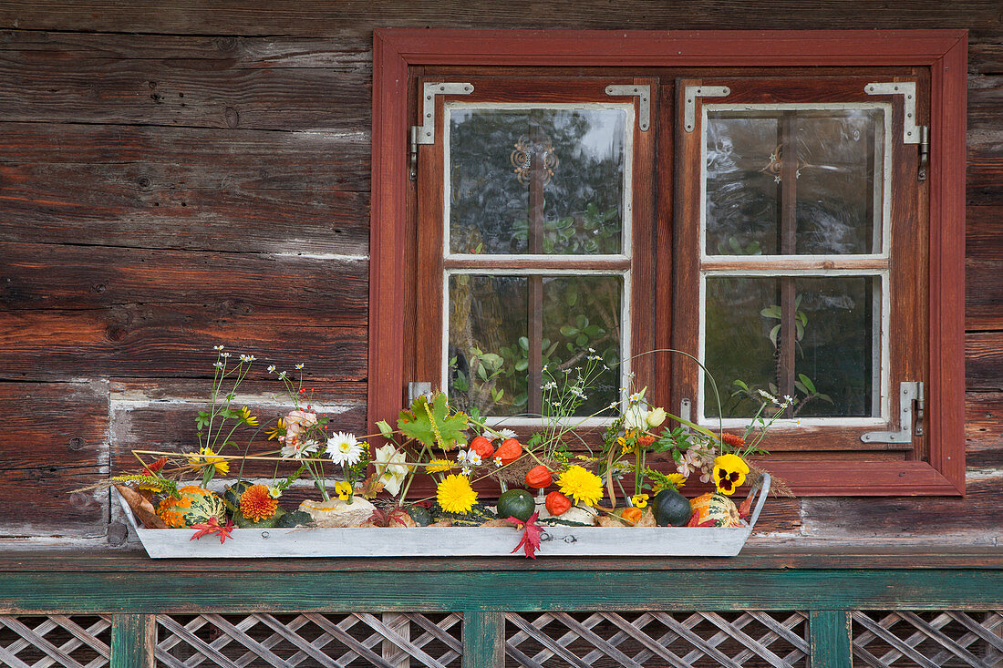 Zierkürbisse als Vase mit Herbstblumen geschmückt
