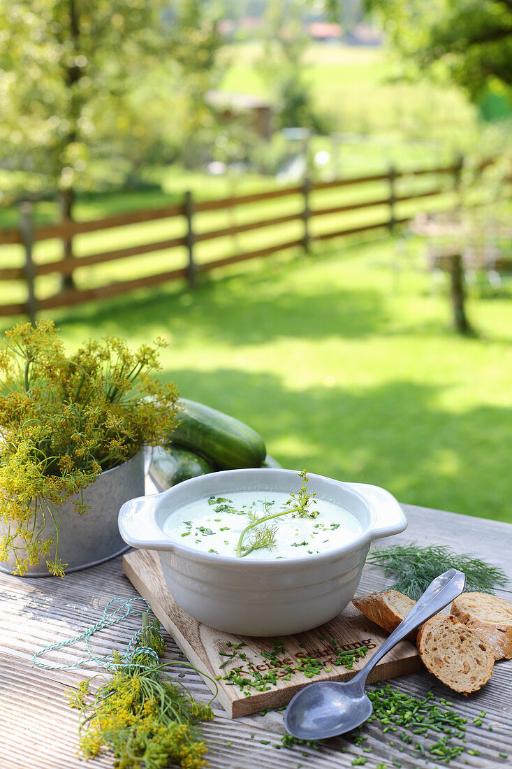 Kalte Gurkensuppe mit Dill