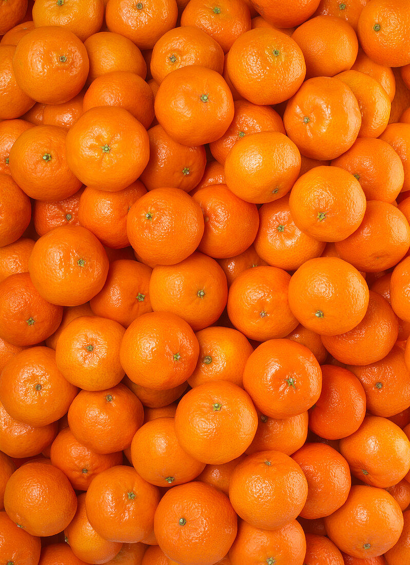 Mandarinen bildfüllend