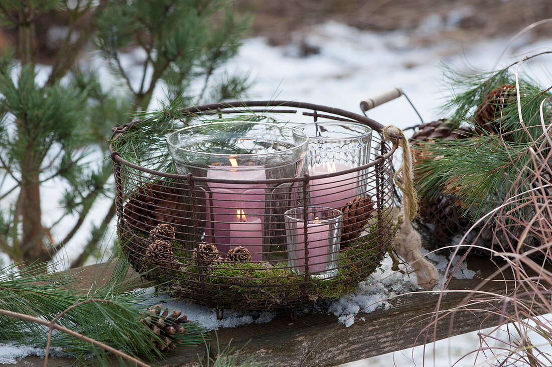 Wire basket with lanterns, moss, and cones