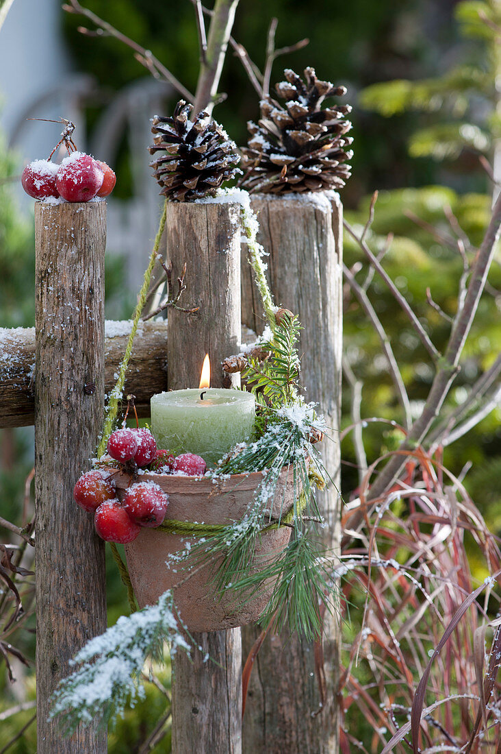Lantern with ornamental apples, cones and a pine branch by the garden fence