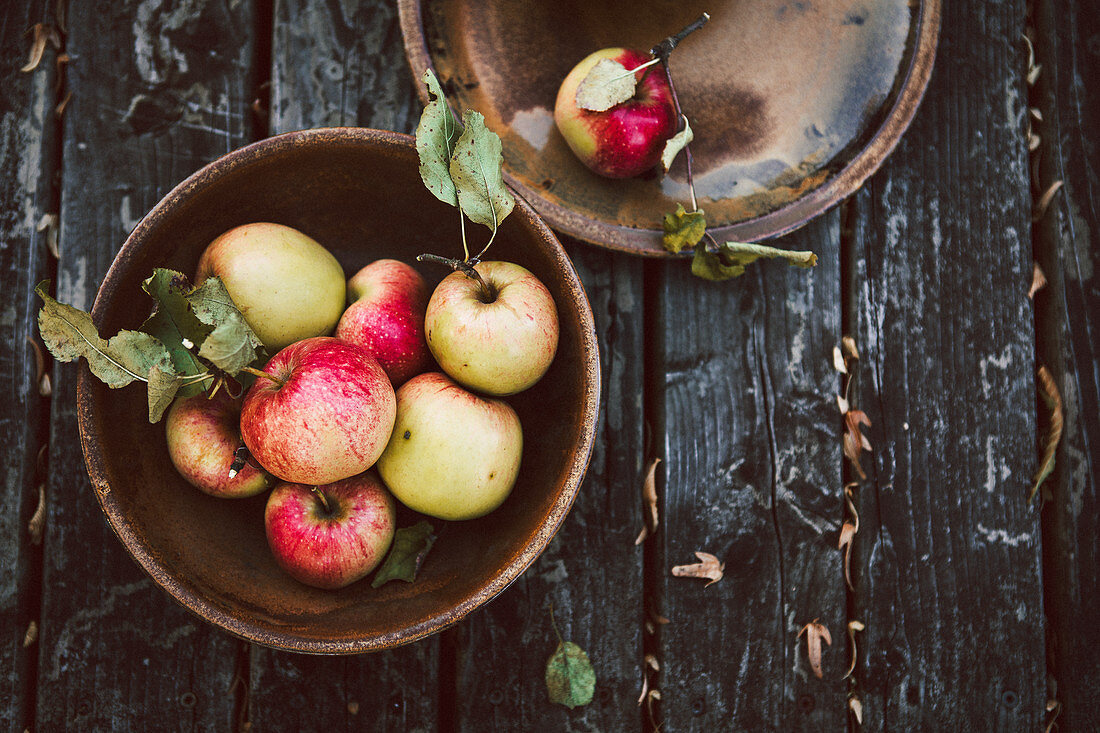 Apples in a ceramic bowl on a rustic wooden background