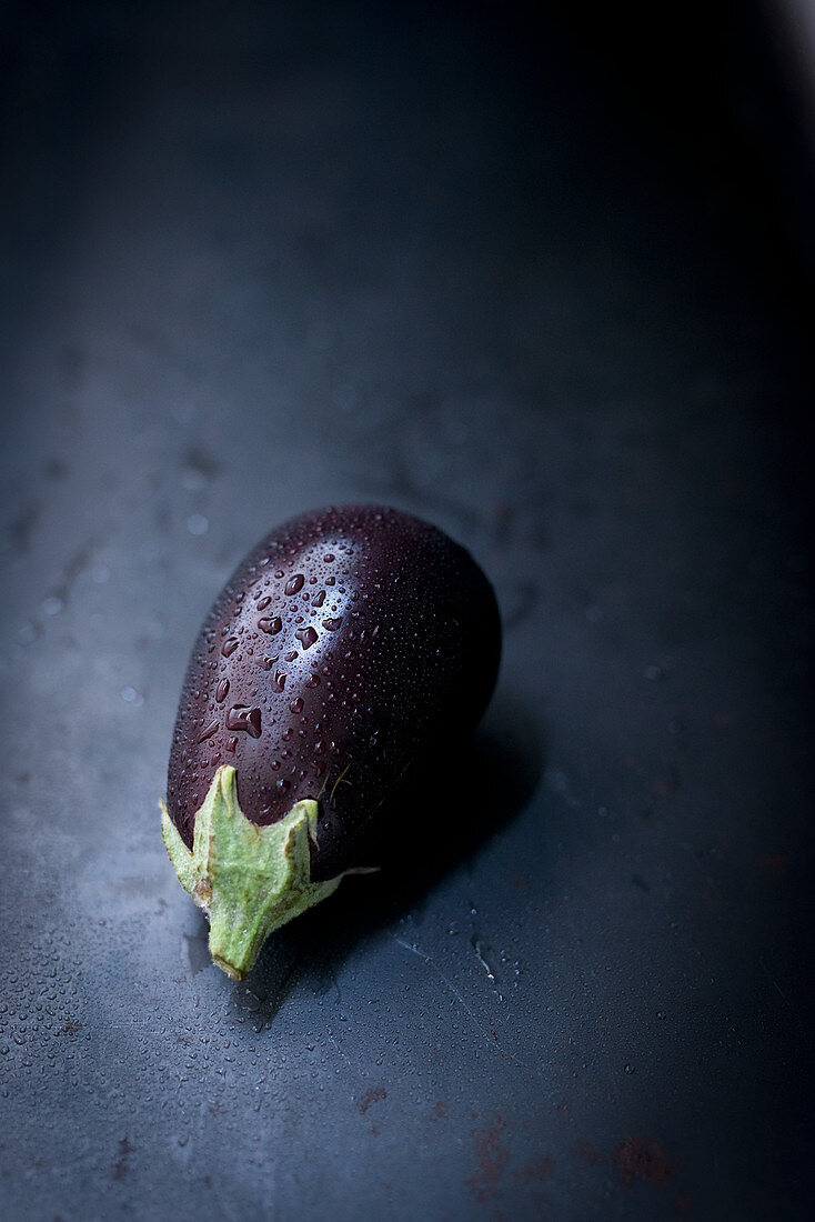 An eggplant with drops of water on a dark background