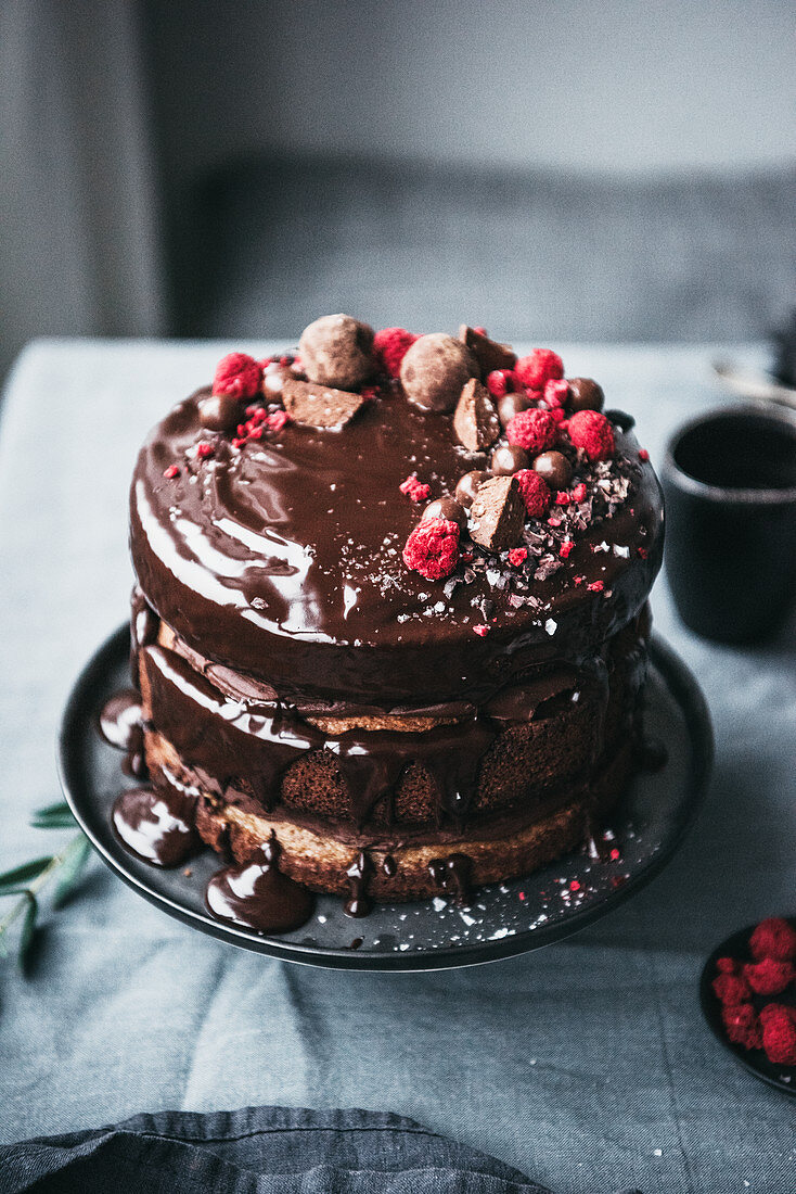 Paleo hazelnut cake with cranberry sauce and a chocolate glaze