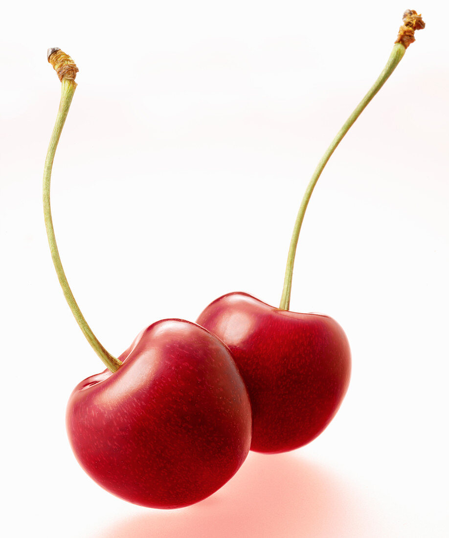 Two bright red cherries