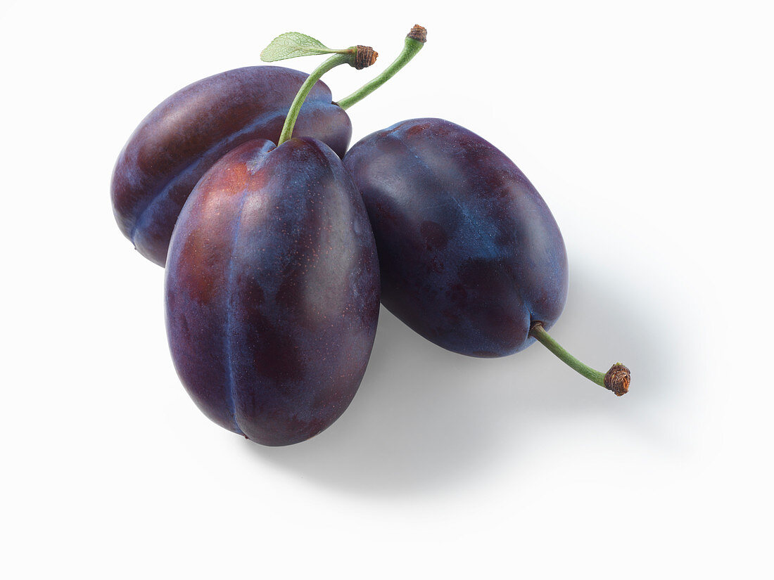 Three purple plums