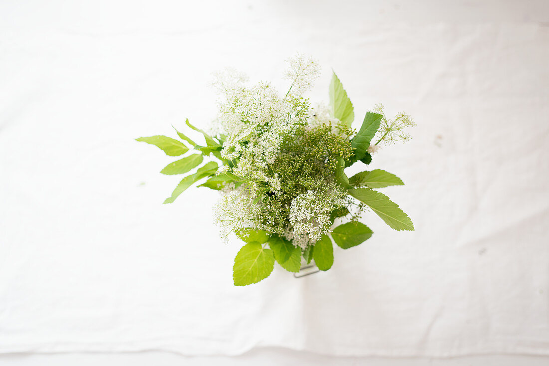 Fresh wild herbs in a glass of water