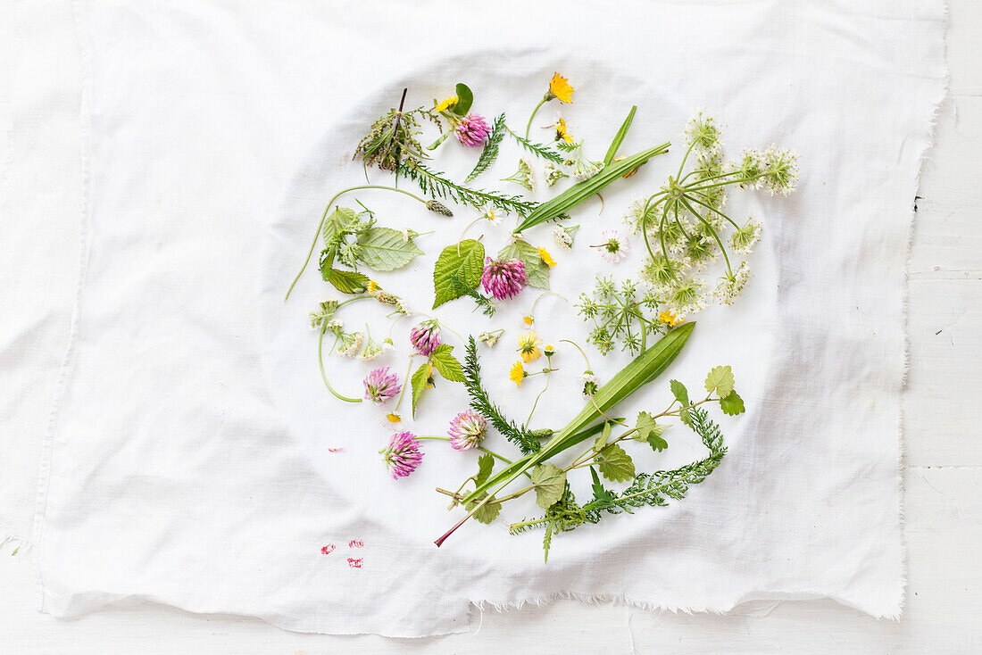 Various wild herb blossoms