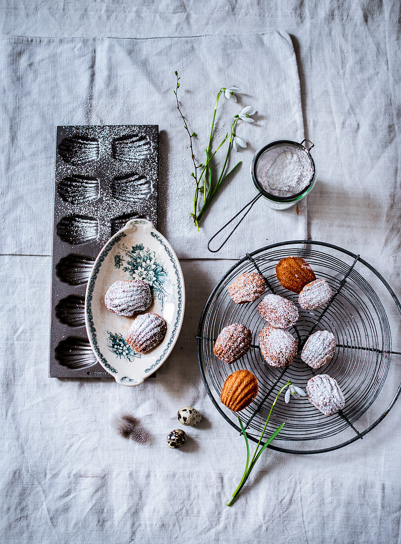 Madeleines with icing sugar for Easter