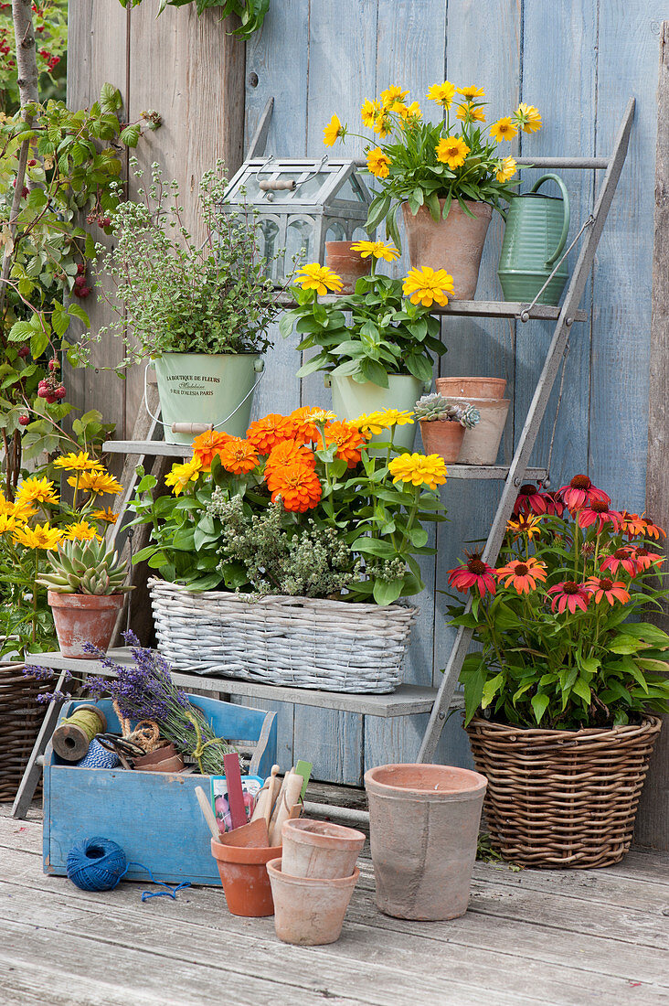 Arrangement with zinnias, girl's eye, oregano and red sun hat