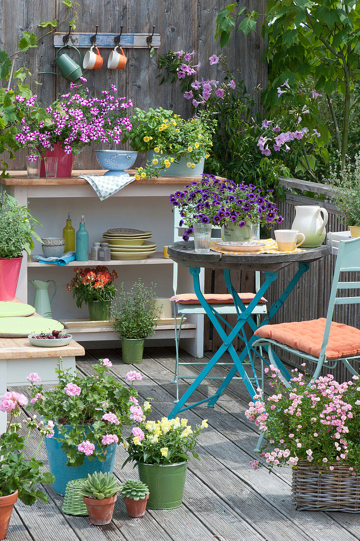 Colourful balcony with summer flowers and mini rose