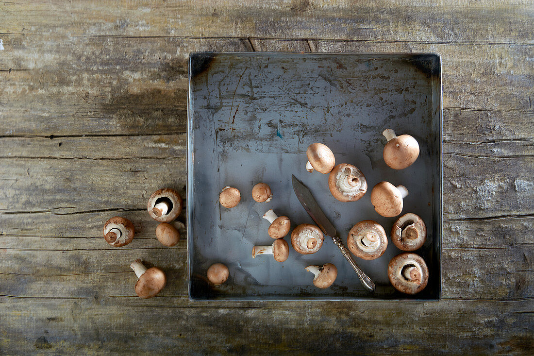 Fresh mushrooms on a metal tray