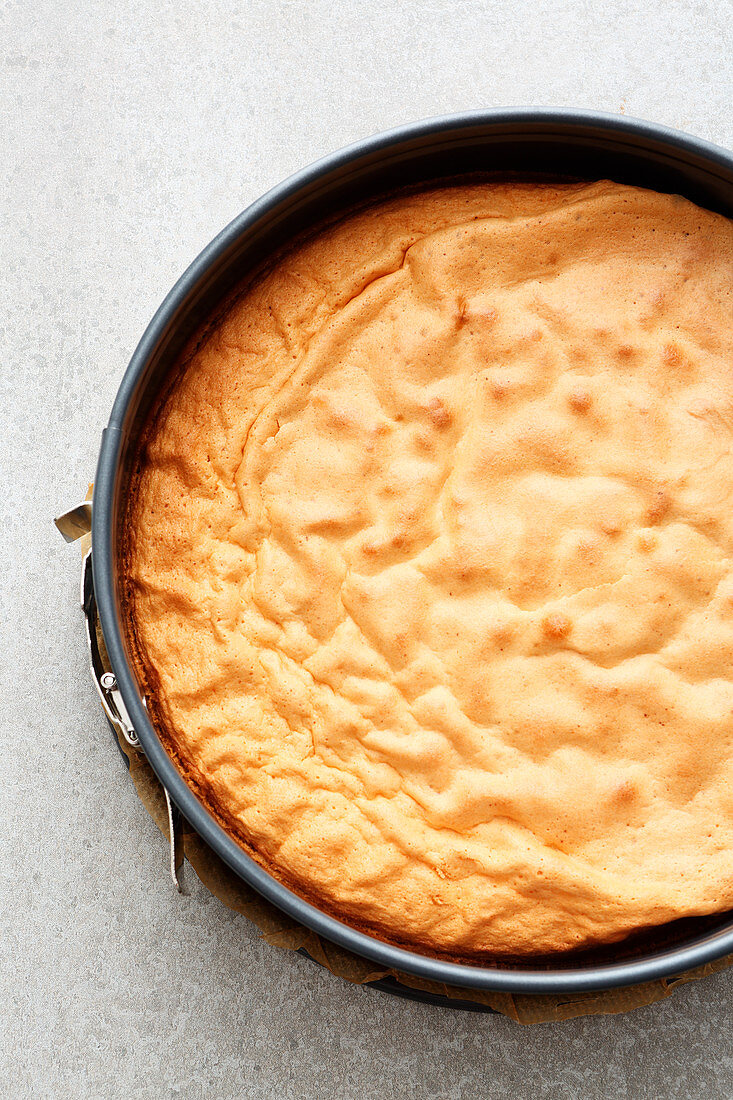 Wiener Masse fertig gebacken in Springform