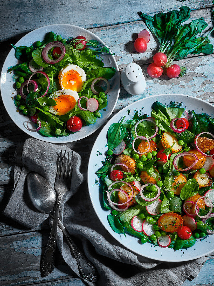 Two vegetarian spring salads with egg and fried potatoes