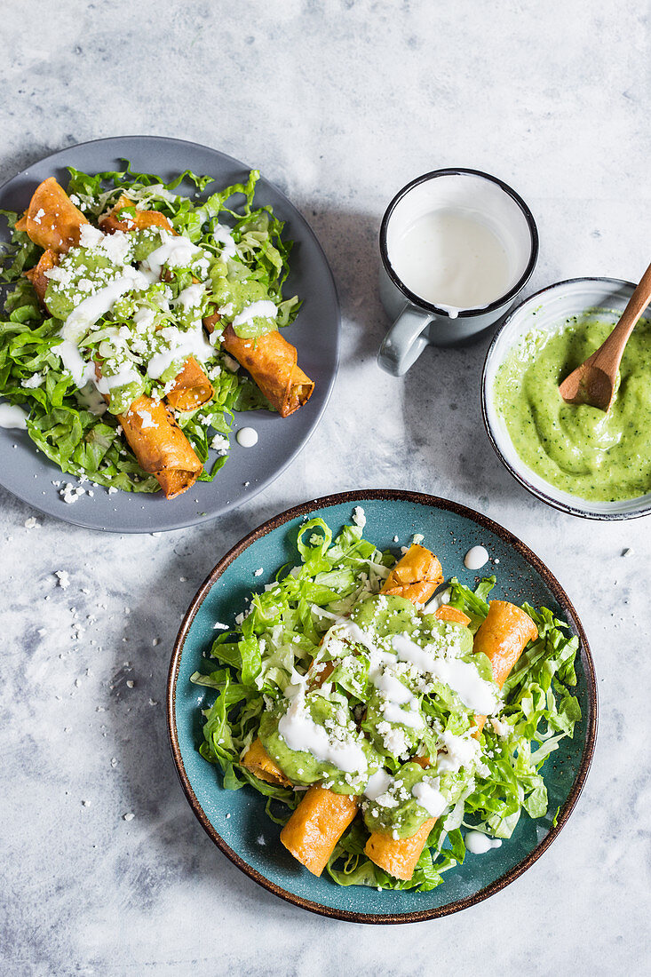 Falutas (fried taco rolls with chicken) on salad with avocado sauce, sour cream and cheese