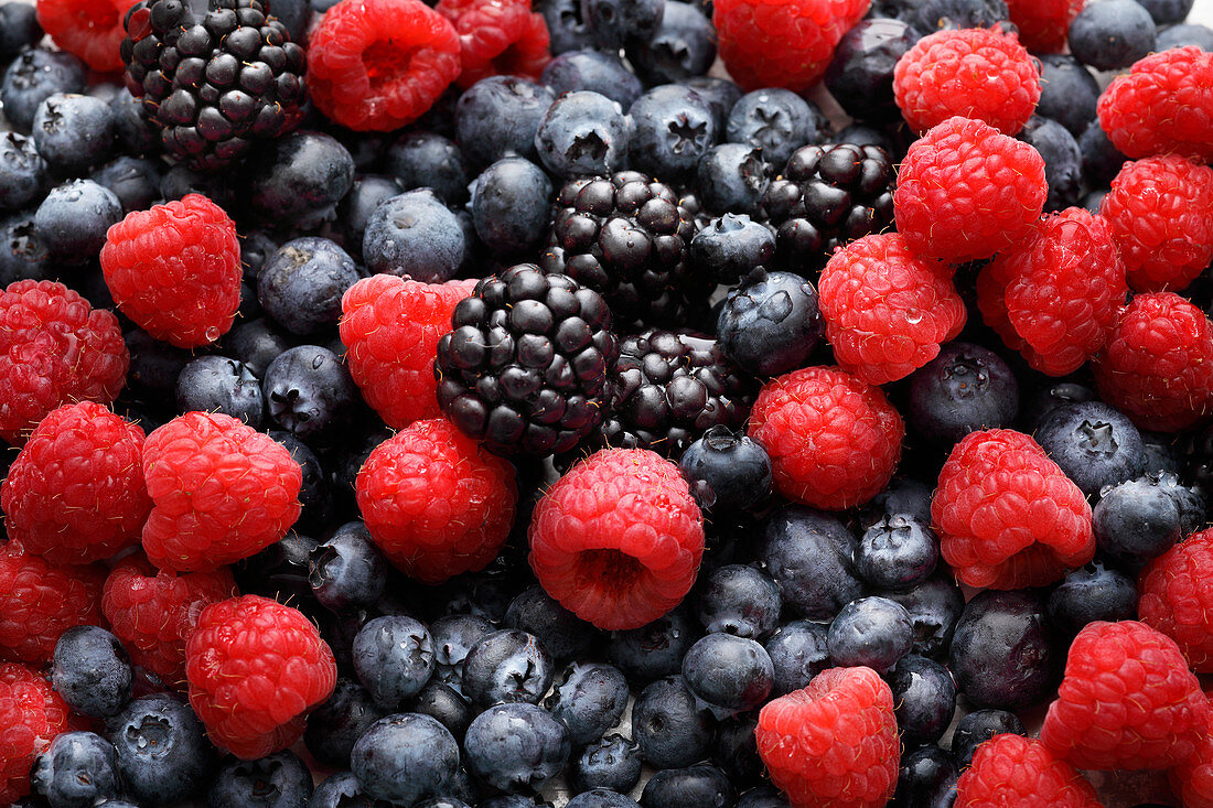 Mixed Berries, Close Up