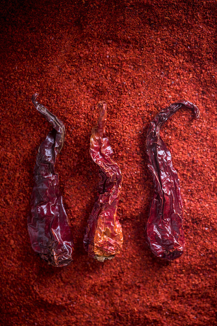 Getrocknete rote Kashmiri-Chilis auf rotem Chilipulver