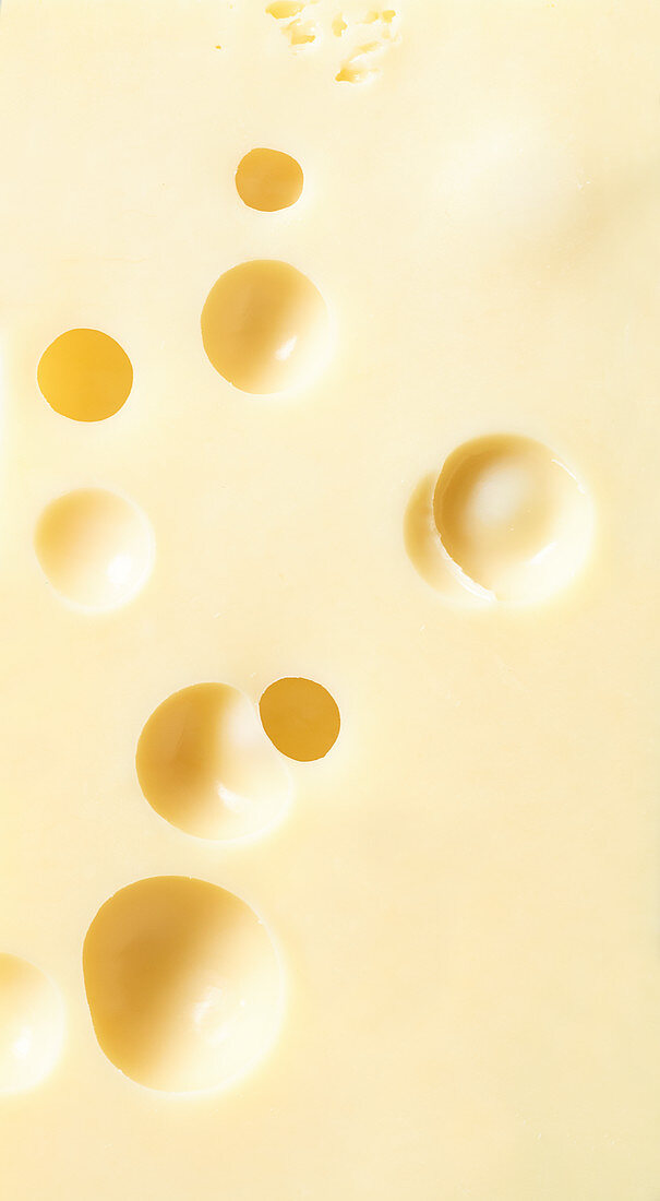 Emmentaler (bildfüllend)