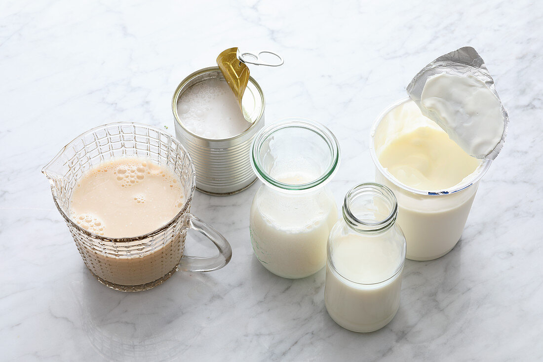Flüssigkeiten für Eiweißdrinks - Joghurt, Milch, Pflanzendrinks