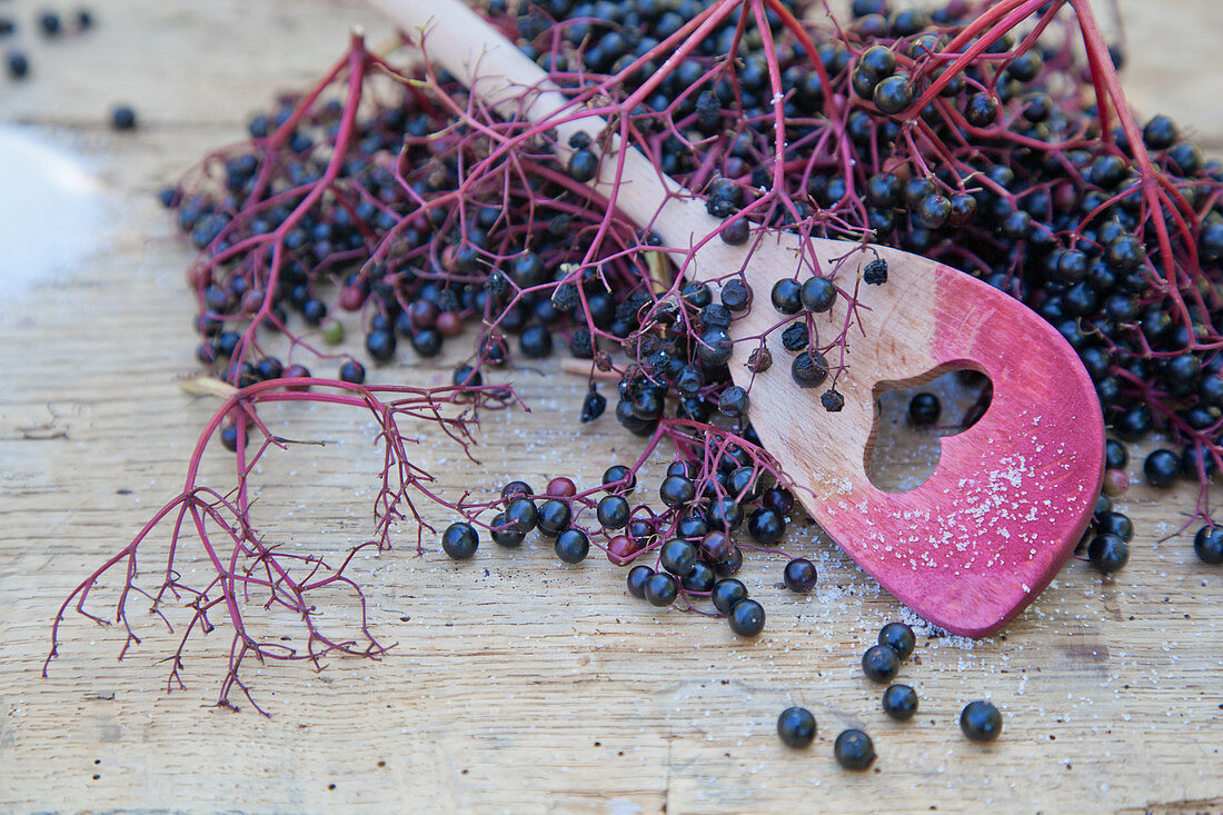 A still life with elderberries and a coloured wooden spoon