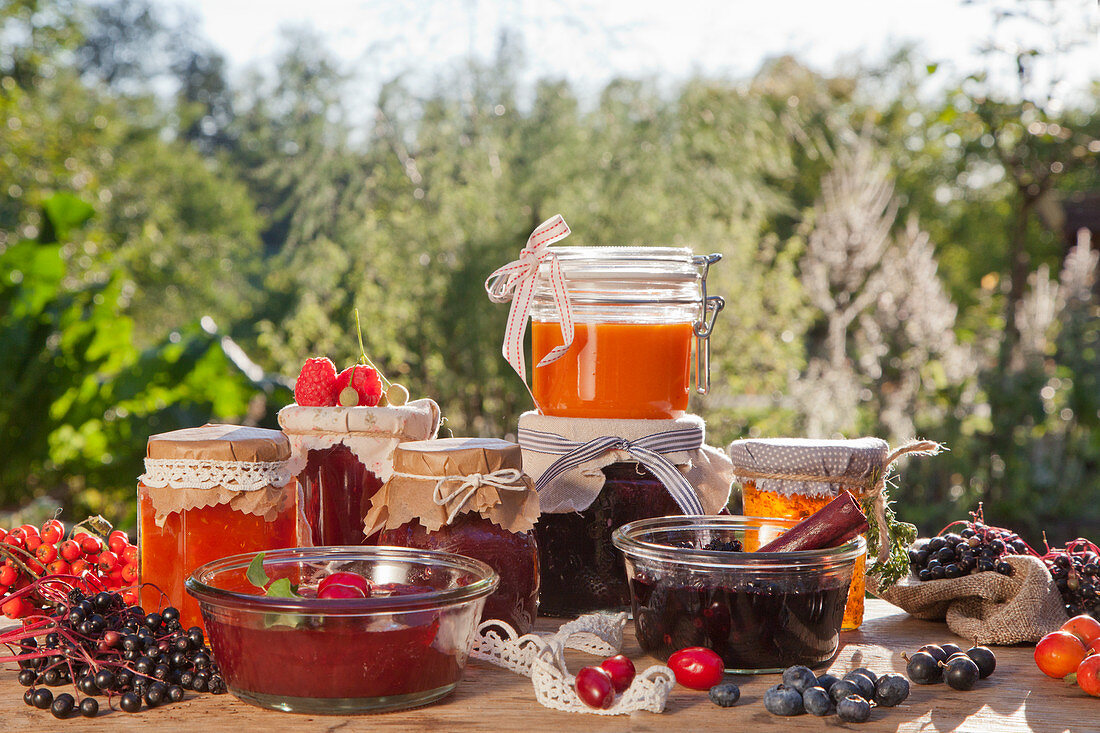 Various jams made from wild berries