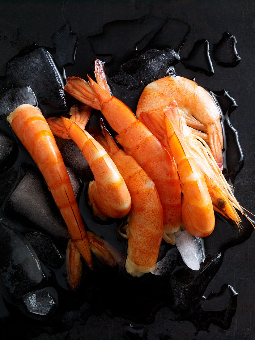 Cooked prawns on ice