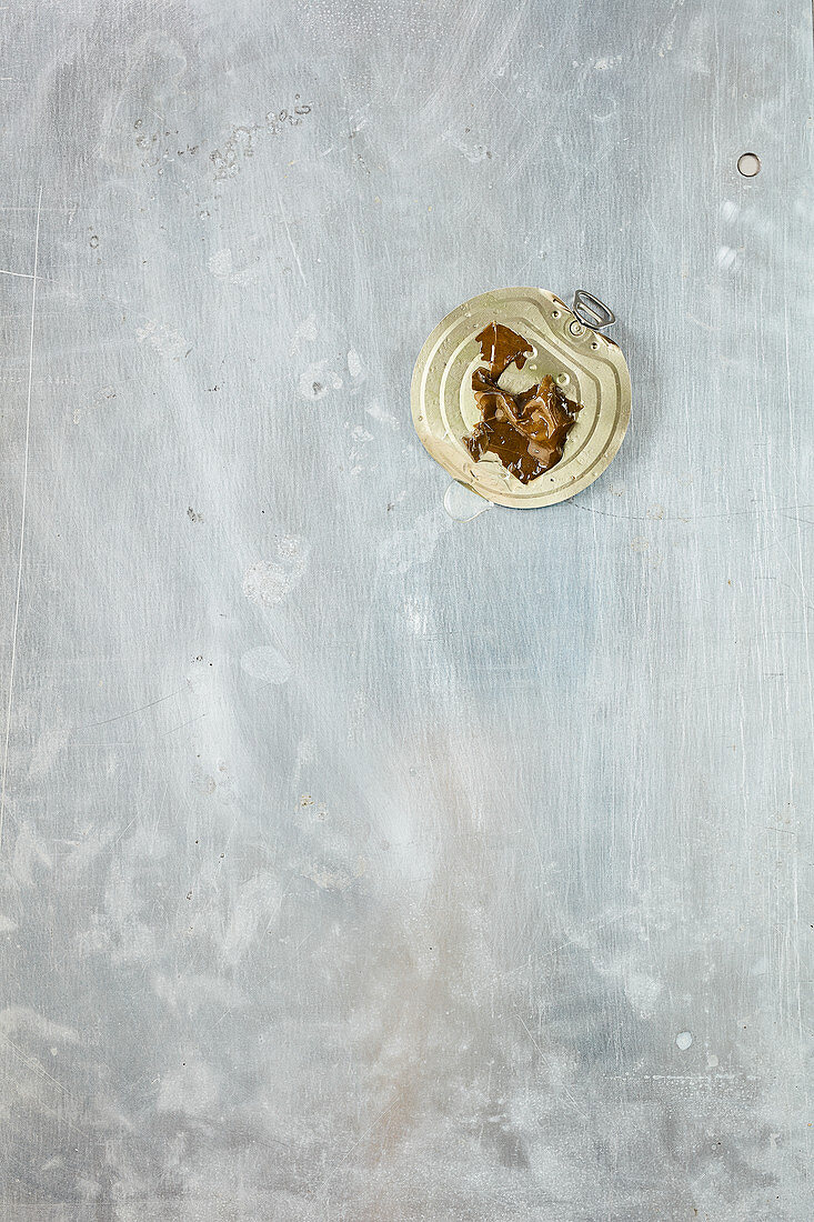 Leftover vine leaves on a tin can lid